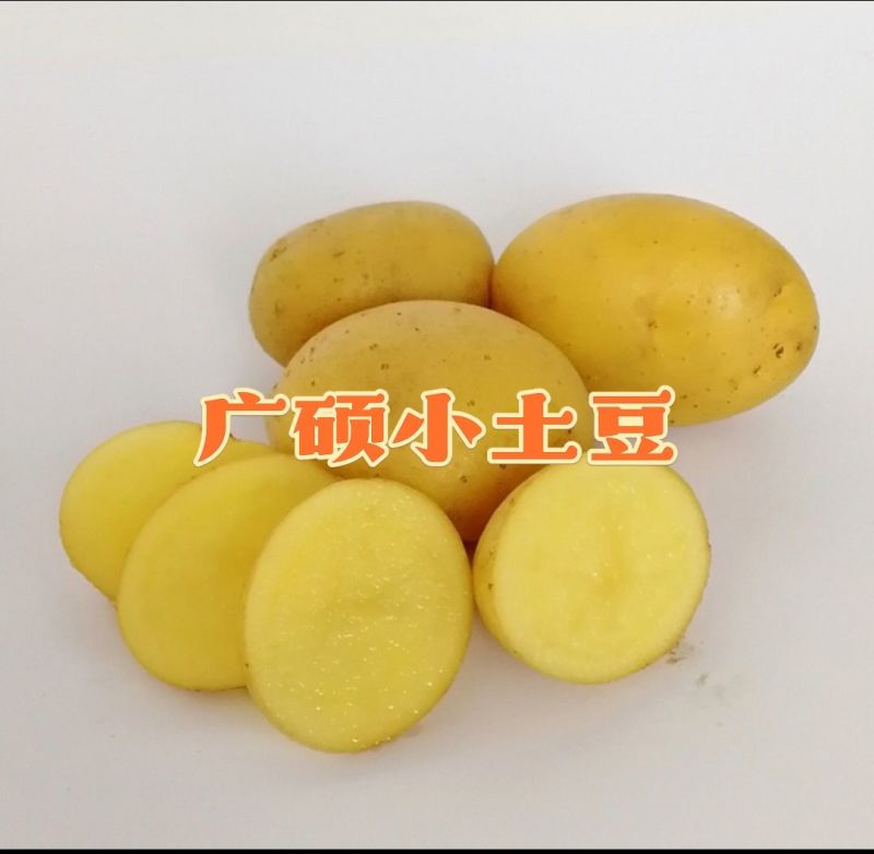 迷你小土豆黄皮黄心油炸小土豆
