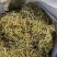 小叶肾精草化石草嗷嗷叫