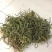 小叶肾精草化石草嗷嗷叫