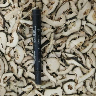 青皮