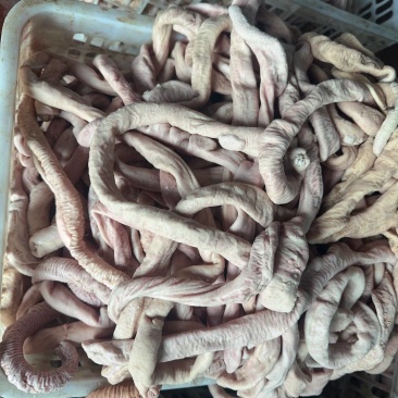 少油牛圆肠满油牛圆肠去油牛小肠国产牛肠