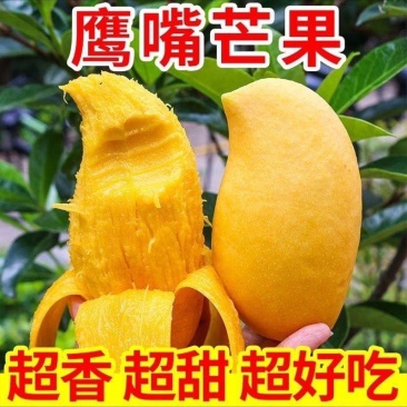 云南应季鹰嘴热带芒果新鲜采摘整箱批发