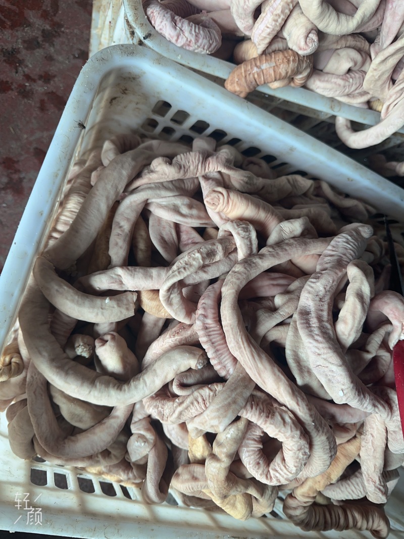少油牛圆肠满油牛圆肠去油牛小肠国产牛肠