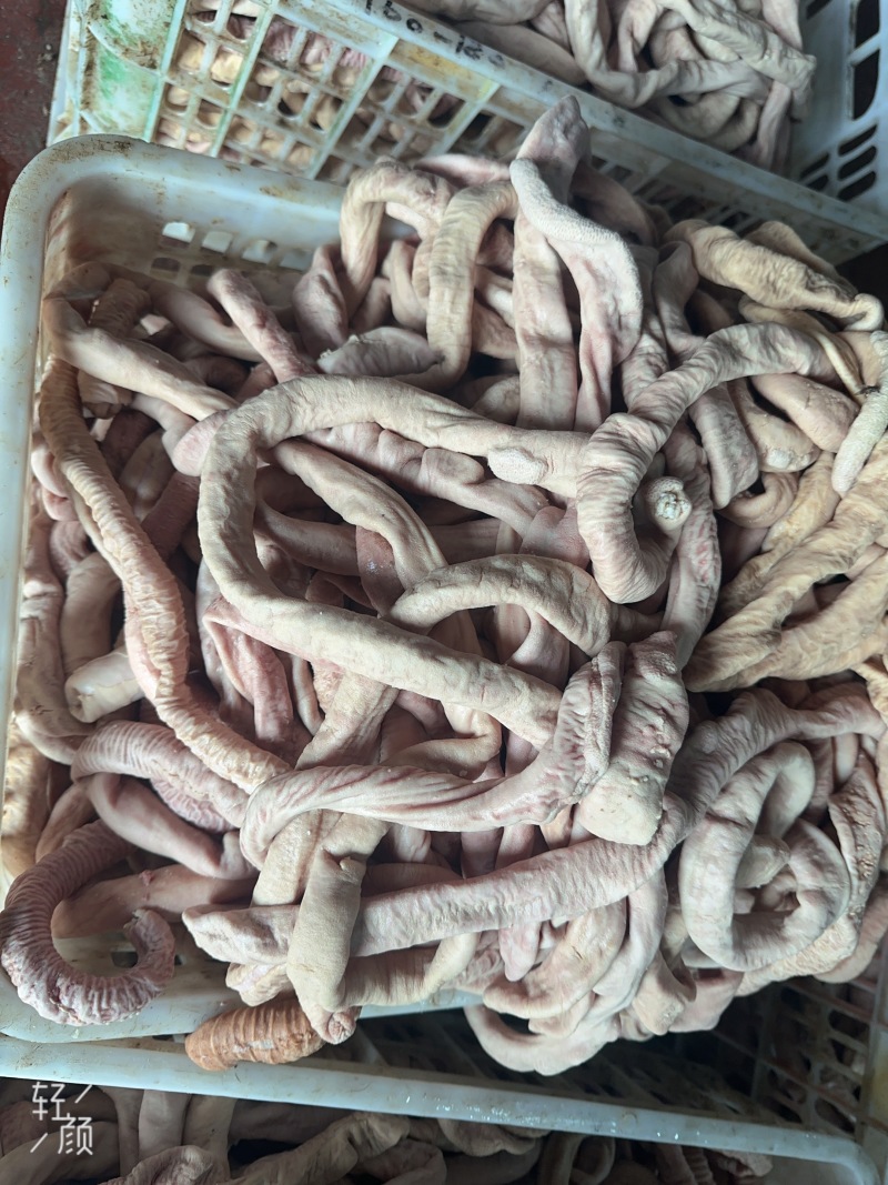 少油牛圆肠满油牛圆肠去油牛小肠国产牛肠