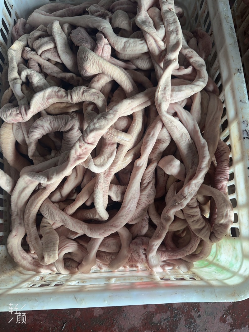 少油牛圆肠满油牛圆肠去油牛小肠国产牛肠
