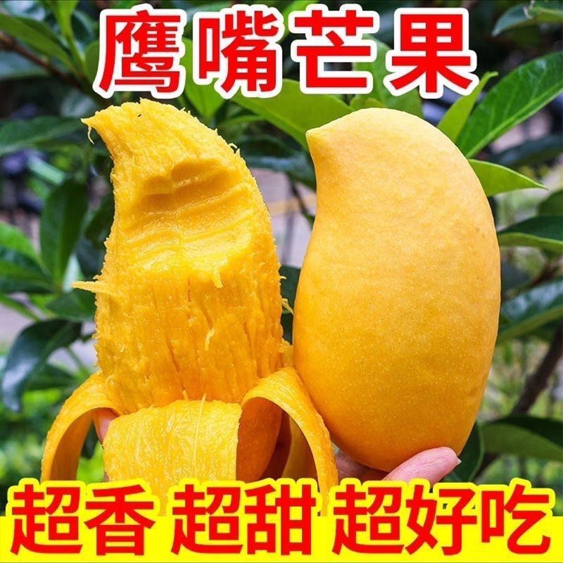 云南应季鹰嘴热带芒果新鲜采摘整箱批发
