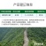 开荒环嗪酮除草剂非耕地使用批发价高浓度颗粒撒施剂直接撒