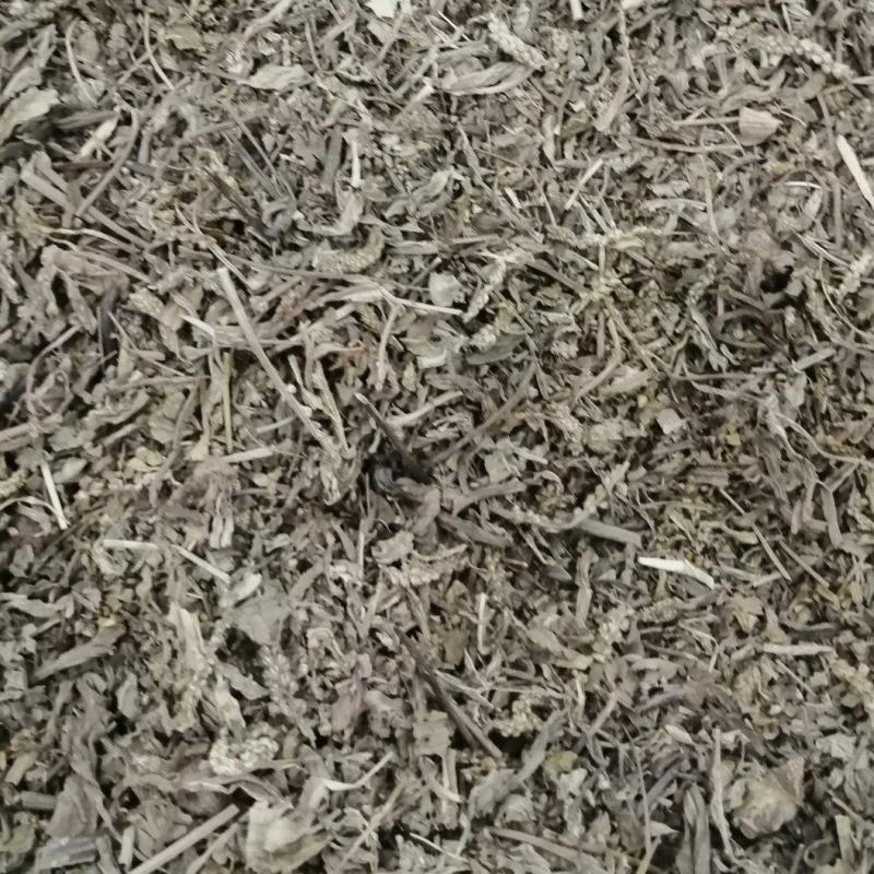 艾叶