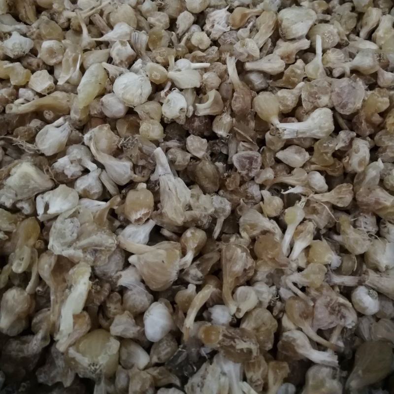 毛慈菇冰球子