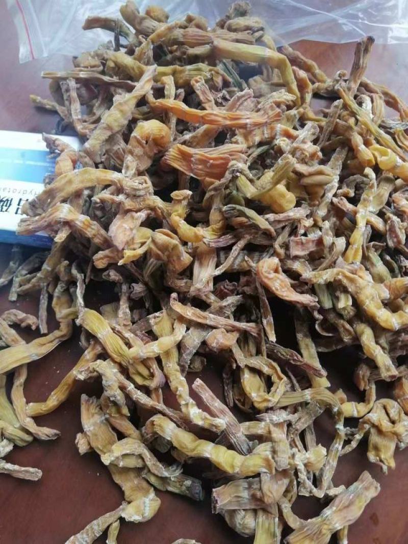 高山️竹笋大量上市，产地直发，品质保证，服务周到