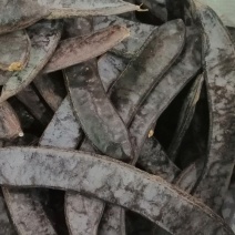 皂角