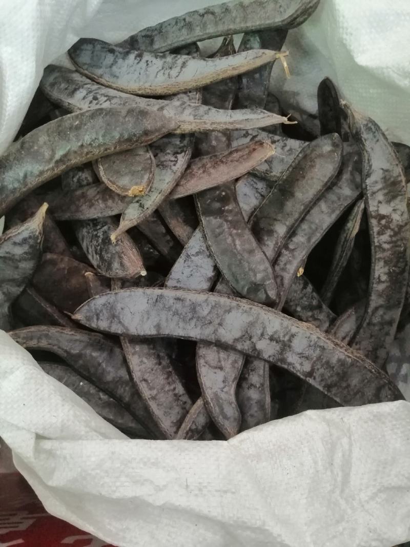 皂角