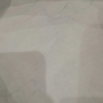 海金沙