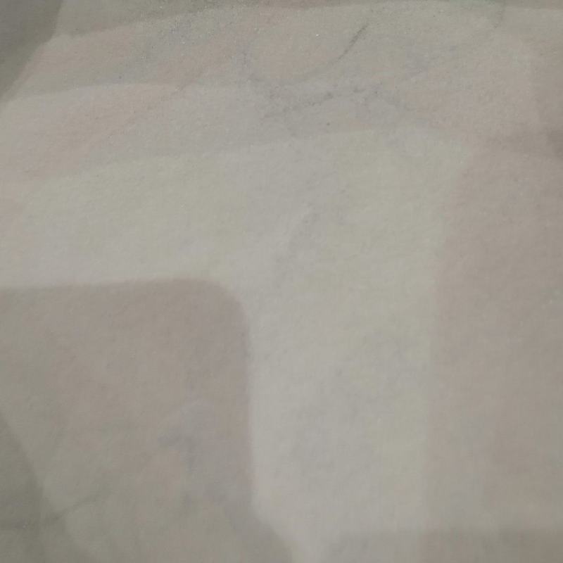 海金沙