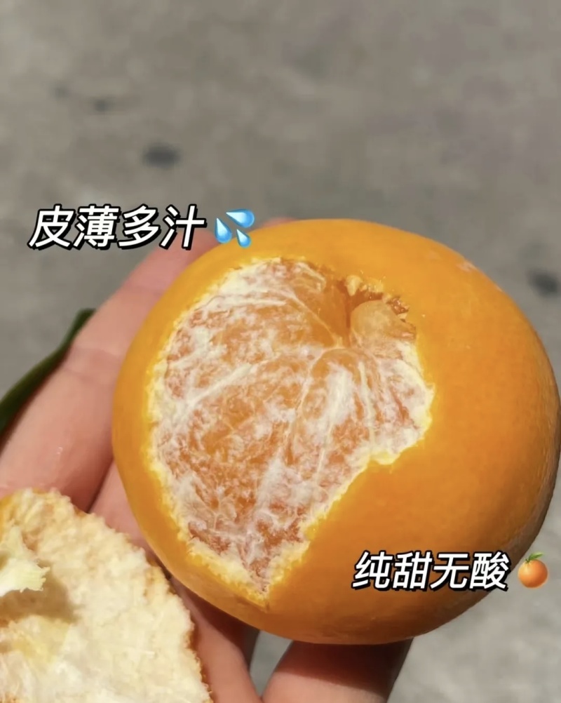 广西沃柑大量有货品质优甜度高现摘现发可视频看货欢迎来