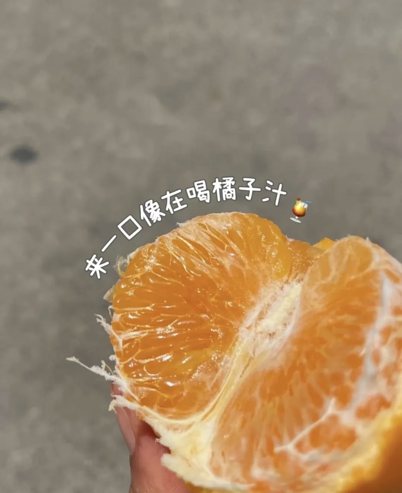 广西沃柑大量有货品质优甜度高现摘现发可视频看货欢迎来