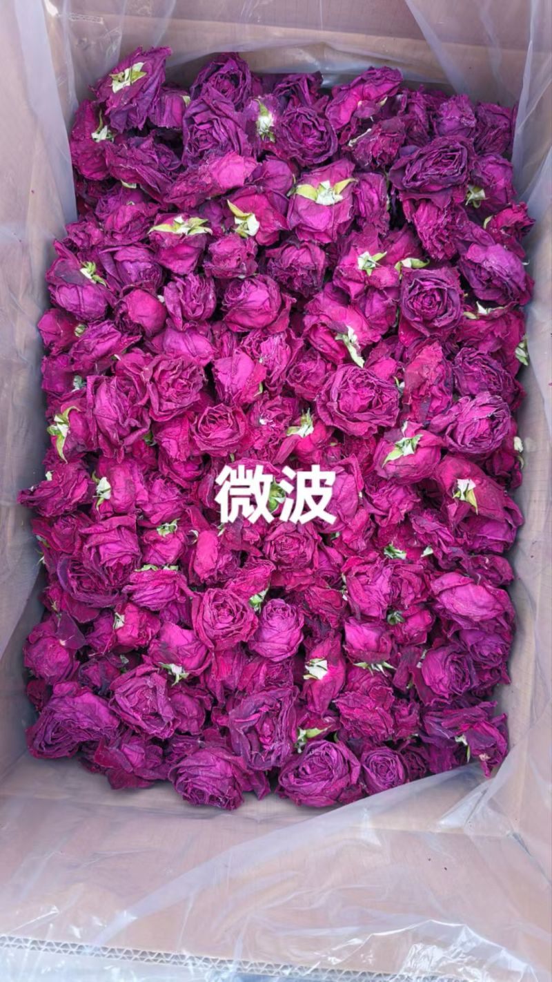 微波干墨红玫瑰花青素满满YTYTYT78
