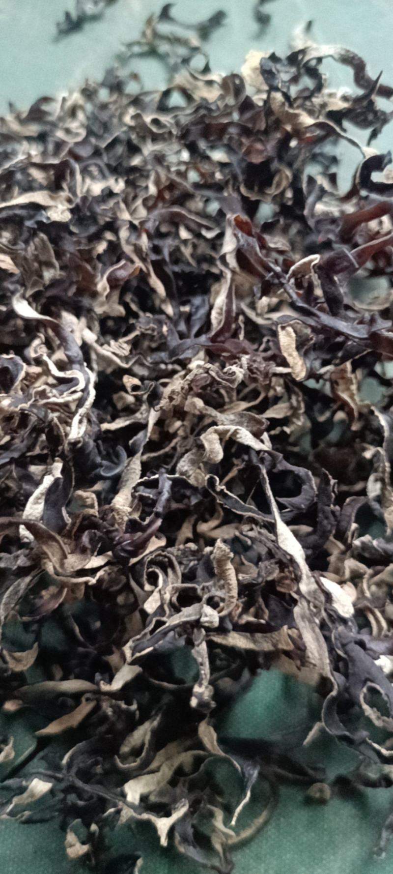 木耳丝电商货木耳丝整件批发干木耳丝剪根挖洞木耳丝木耳丝