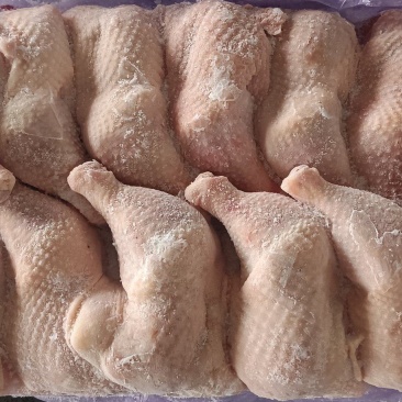 种母鸡排腿