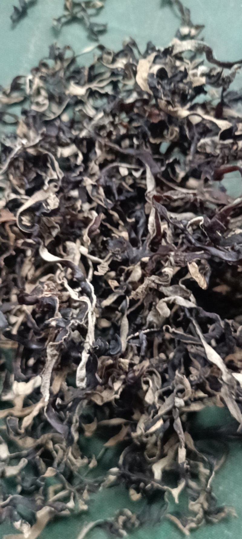 木耳丝电商货木耳丝整件批发干木耳丝剪根挖洞木耳丝木耳丝