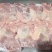 种母鸡排腿