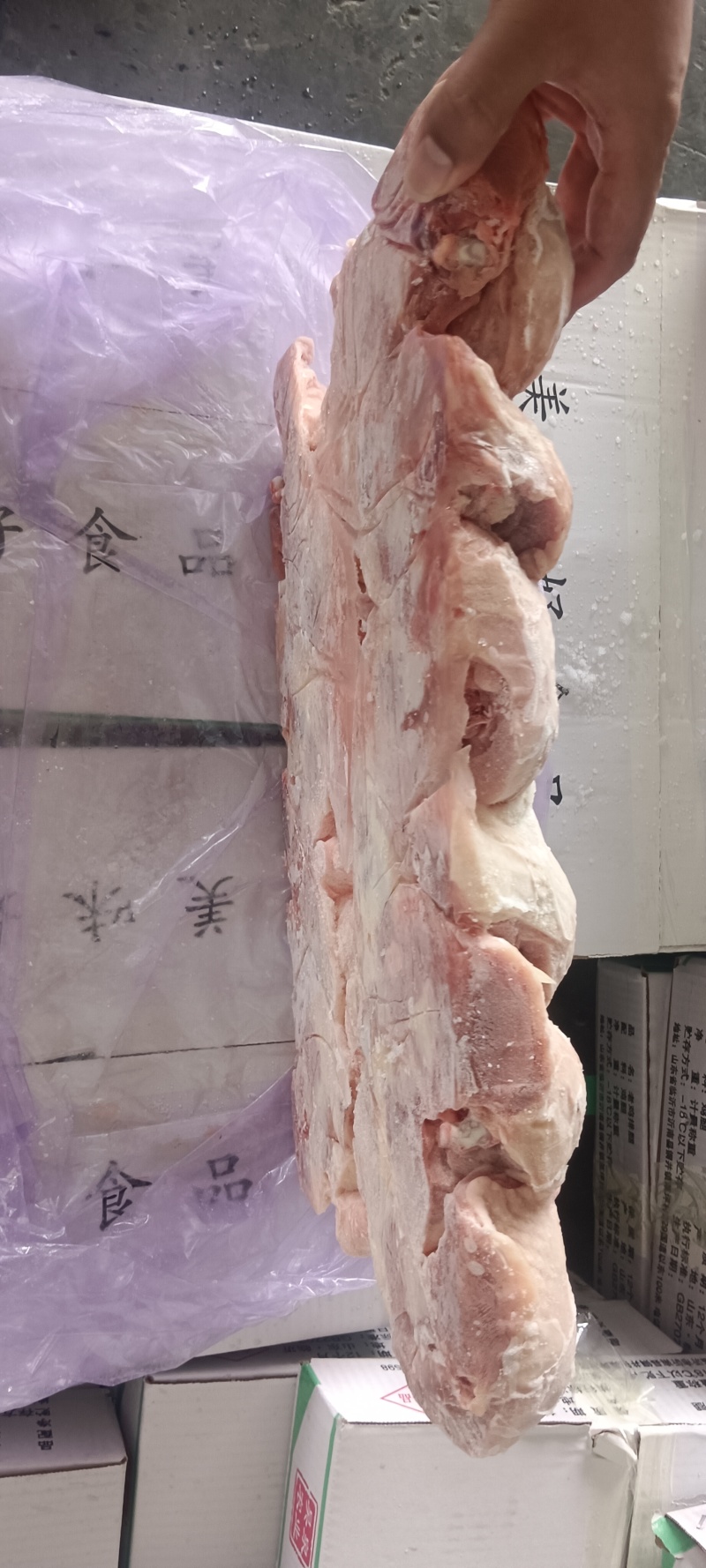 种母鸡排腿