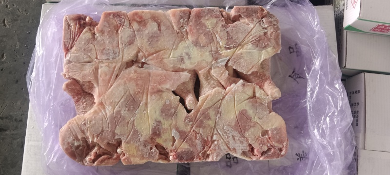 种母鸡排腿