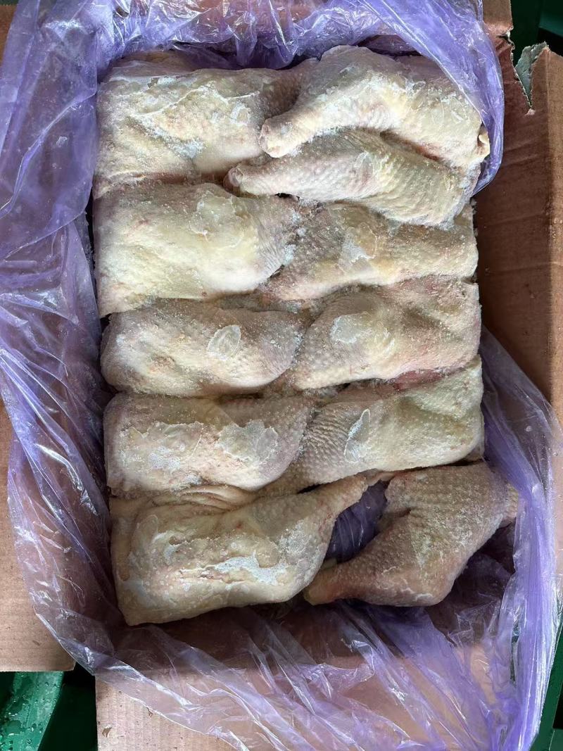 种母鸡排腿