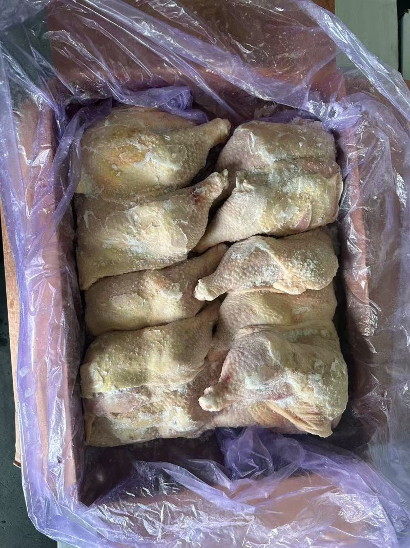 种母鸡排腿