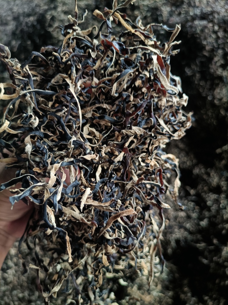 头茬木耳丝电商木耳丝一级品木耳丝干木耳丝商用木耳丝电商用