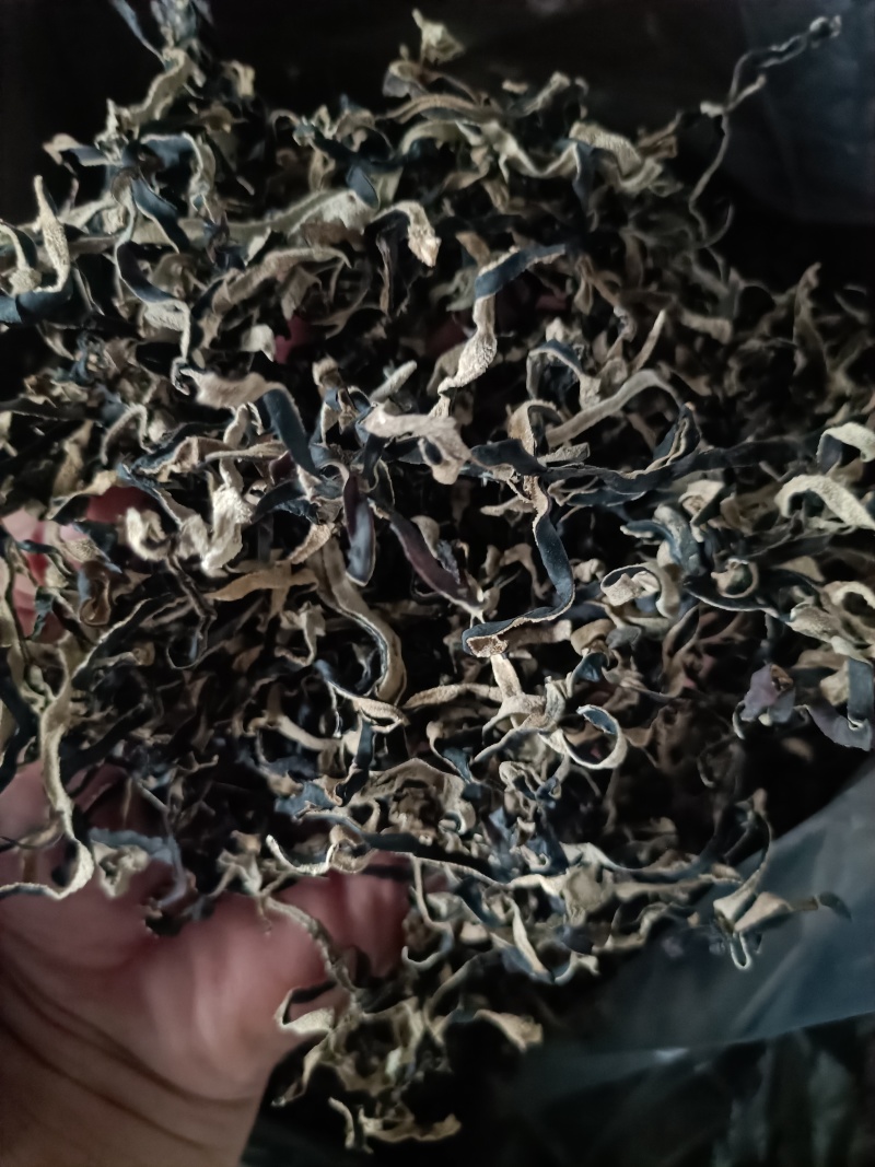 头茬木耳丝电商木耳丝一级品木耳丝干木耳丝商用木耳丝电商用