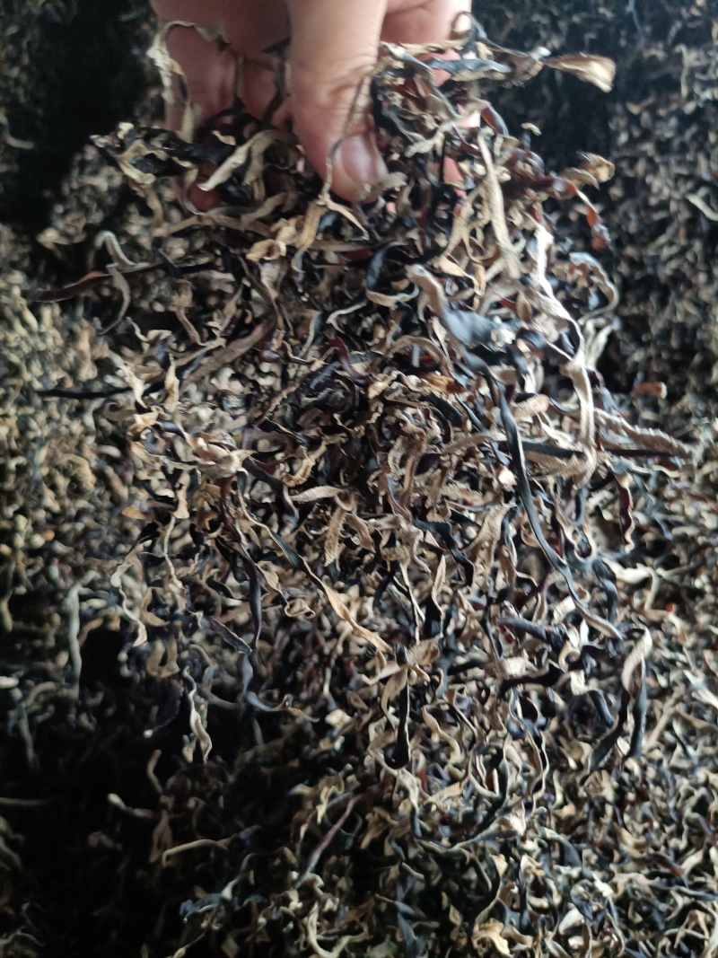 头茬木耳丝电商木耳丝一级品木耳丝干木耳丝商用木耳丝电商用