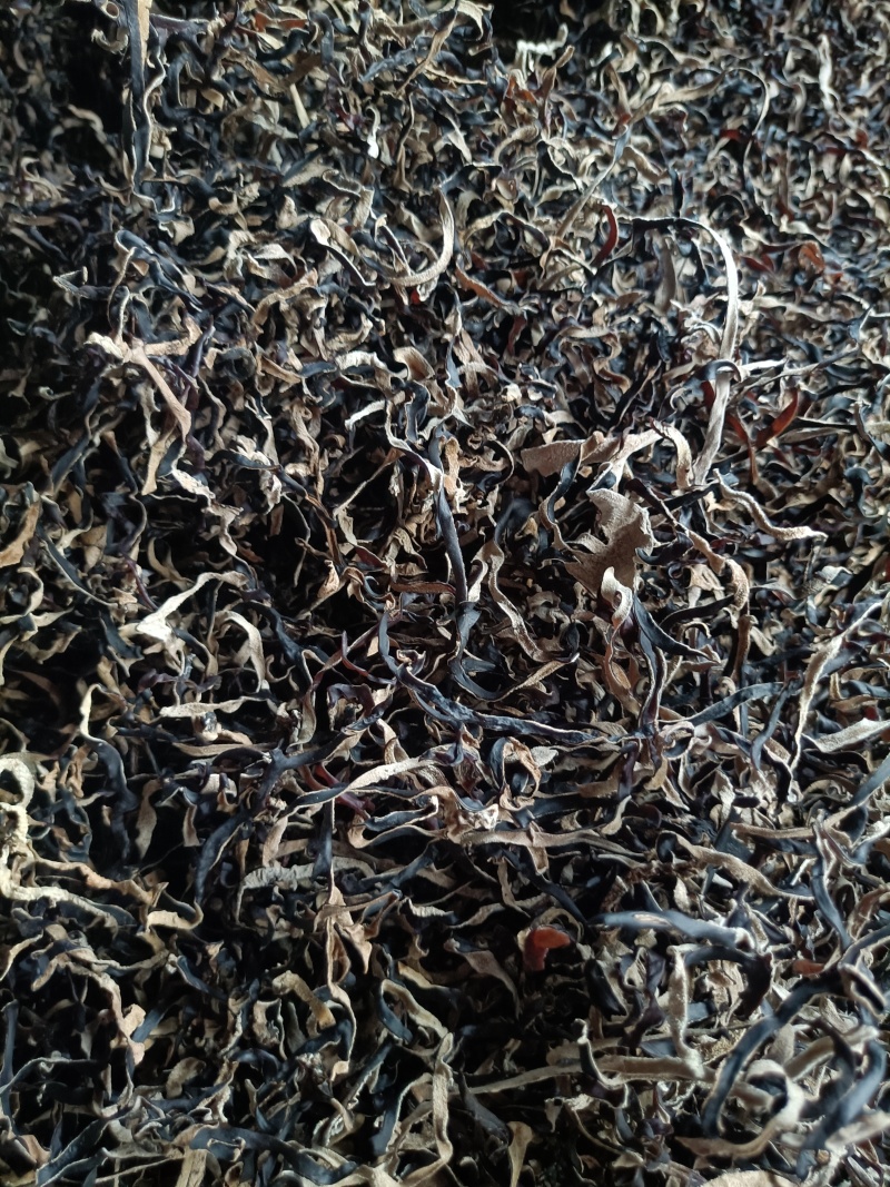 头茬木耳丝电商木耳丝一级品木耳丝干木耳丝商用木耳丝电商用
