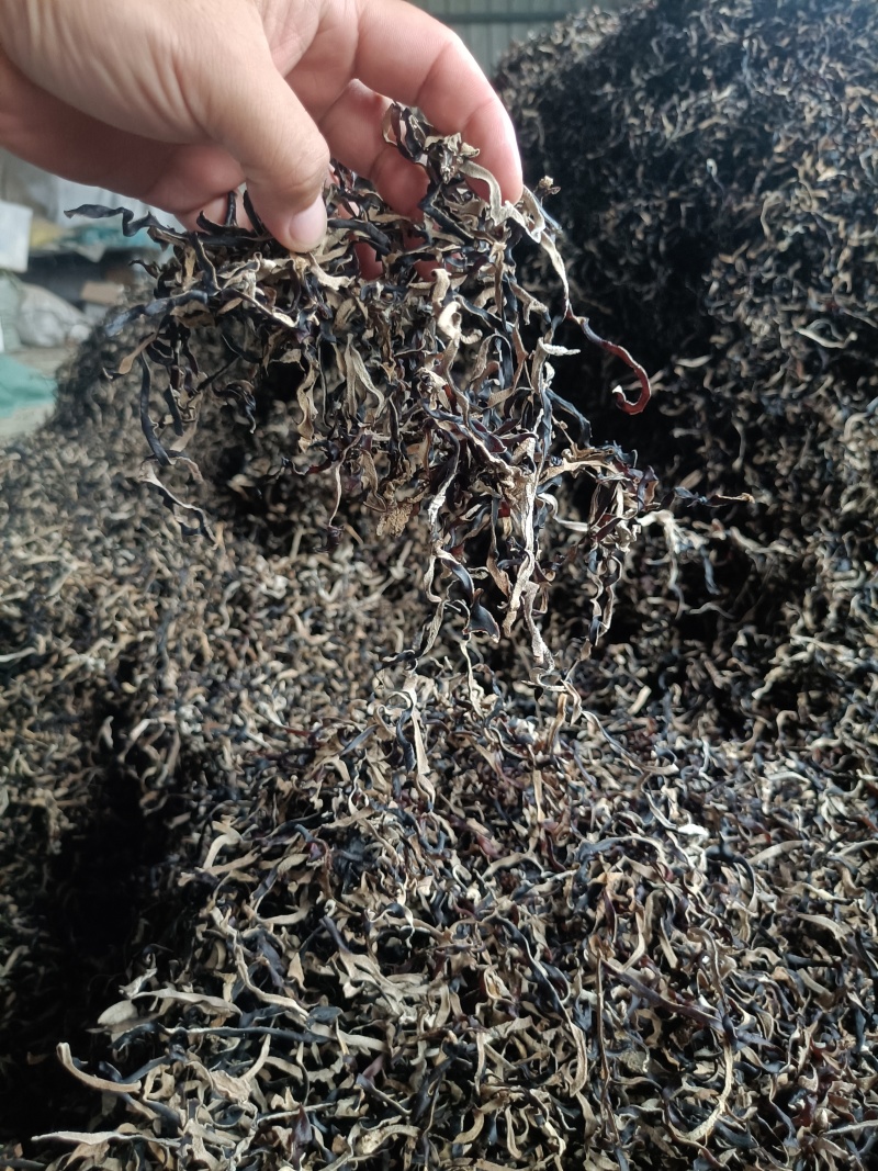 头茬木耳丝电商木耳丝一级品木耳丝干木耳丝商用木耳丝电商用
