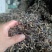 头茬木耳丝电商木耳丝一级品木耳丝干木耳丝商用木耳丝电商用