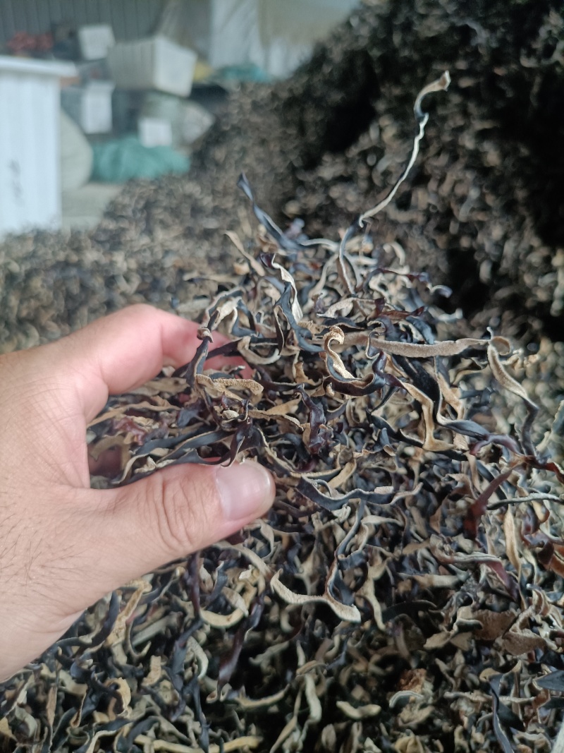头茬木耳丝电商木耳丝一级品木耳丝干木耳丝商用木耳丝电商用