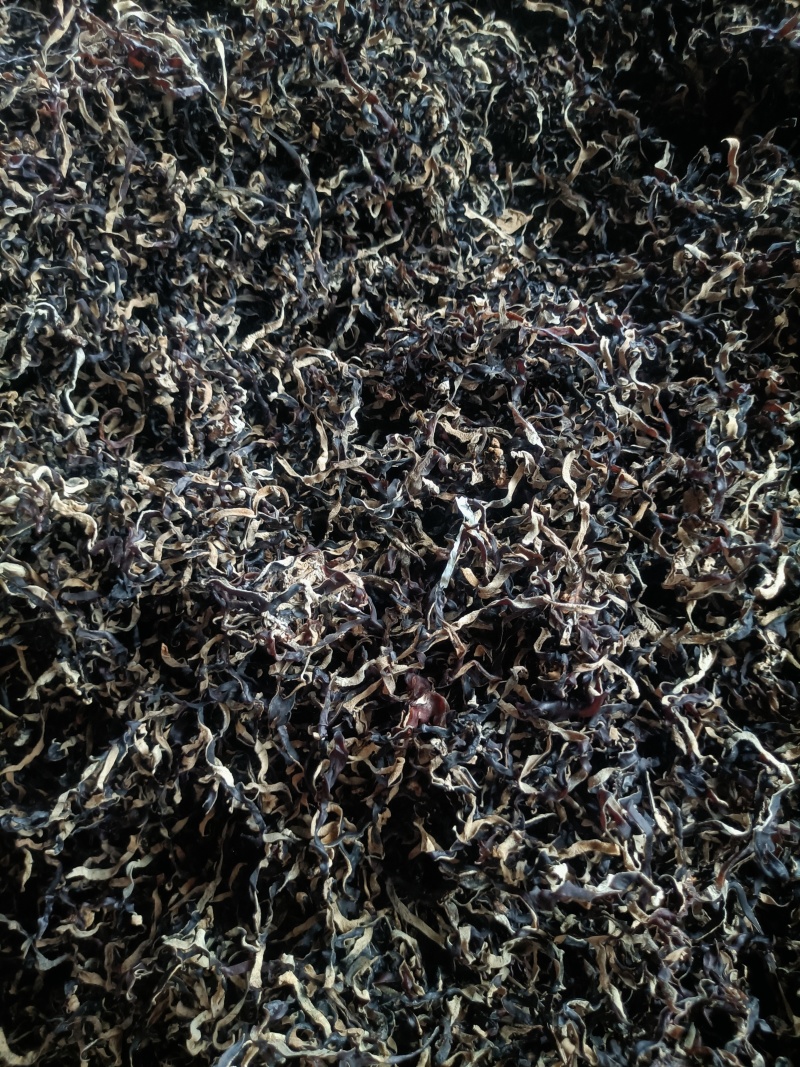 电商便宜木耳丝批发零售干木耳丝优质商用木耳丝木耳丝木耳丝