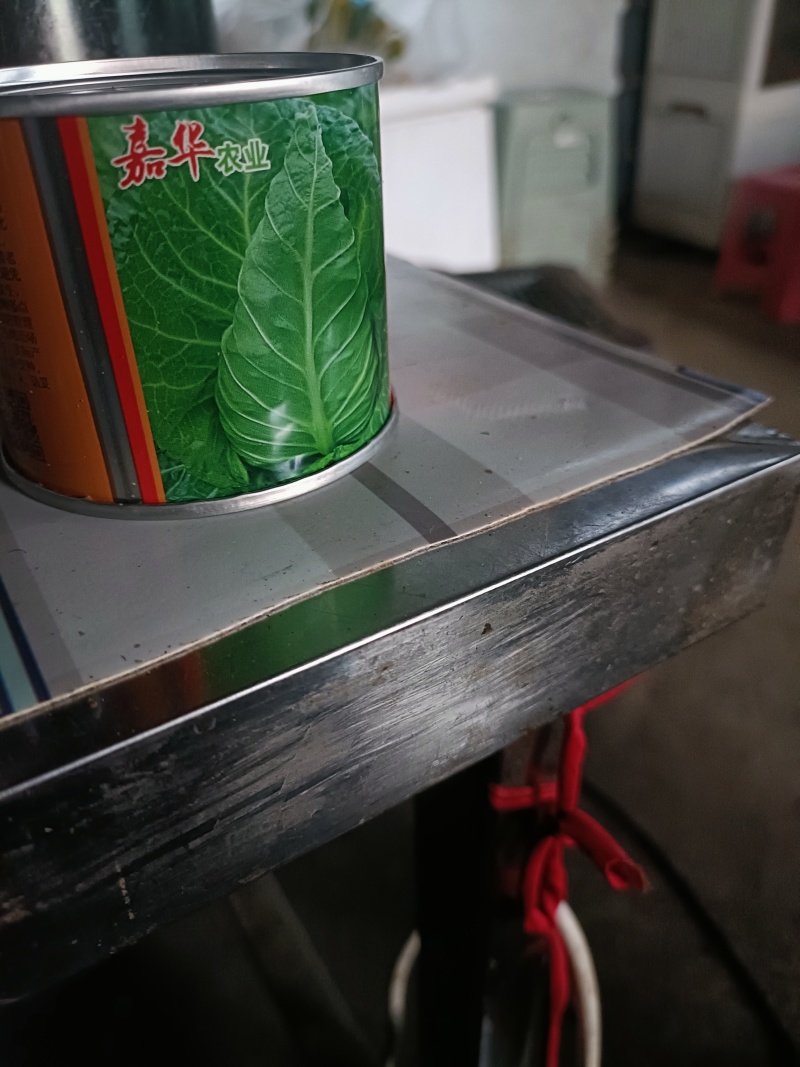 牛心甘蓝苗批发云贵川发货中