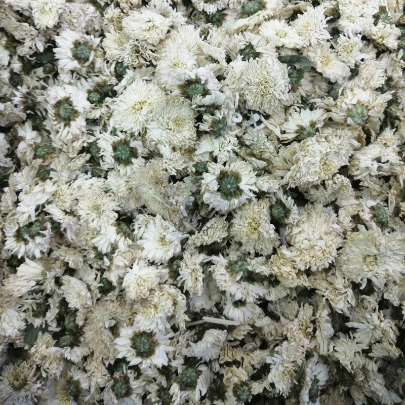 菊花祁菊花