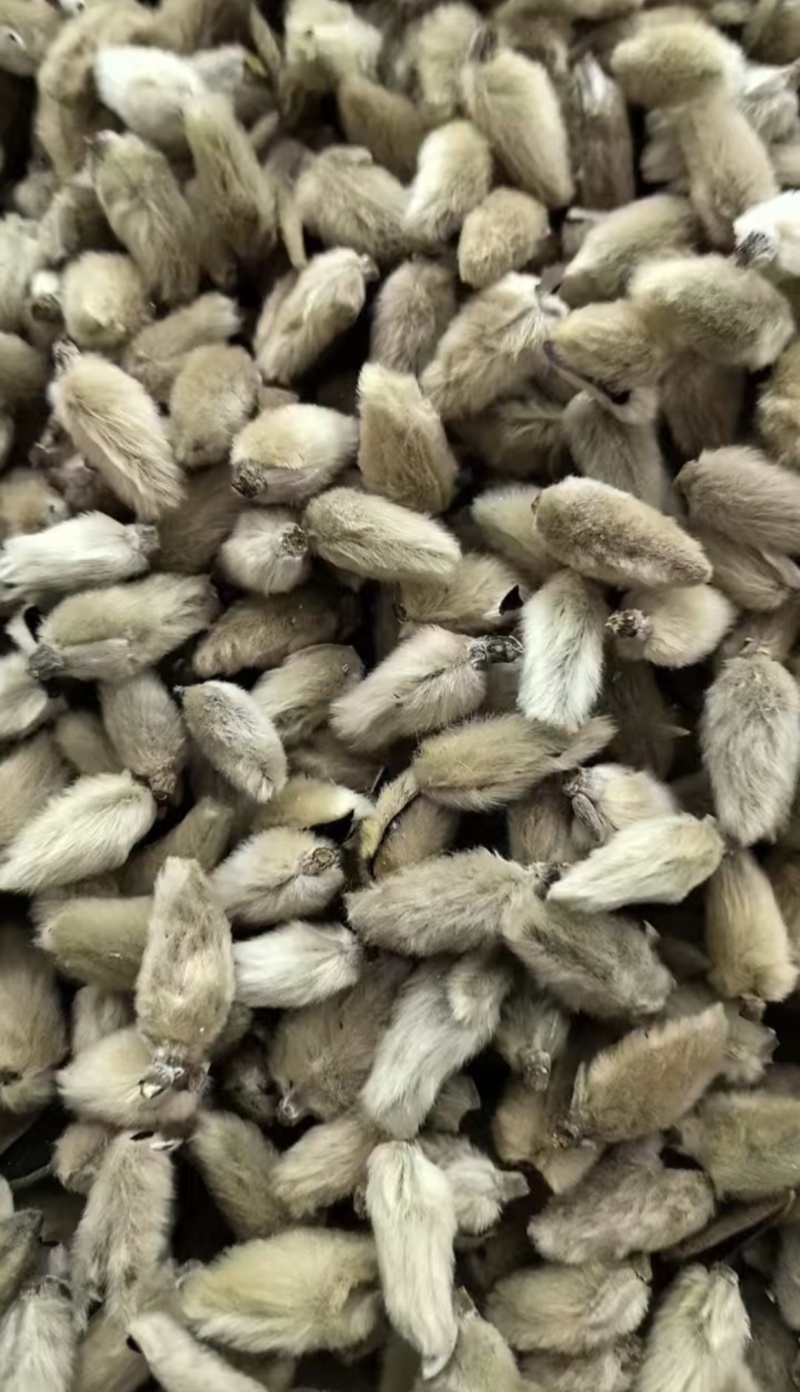 辛夷花中药材正品无硫辛夷花毛桃枕芯辛夷花香料散装批发