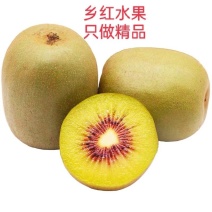 湘西凤凰红心猕猴桃