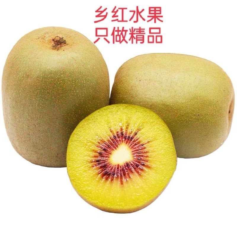 湘西凤凰红心猕猴桃