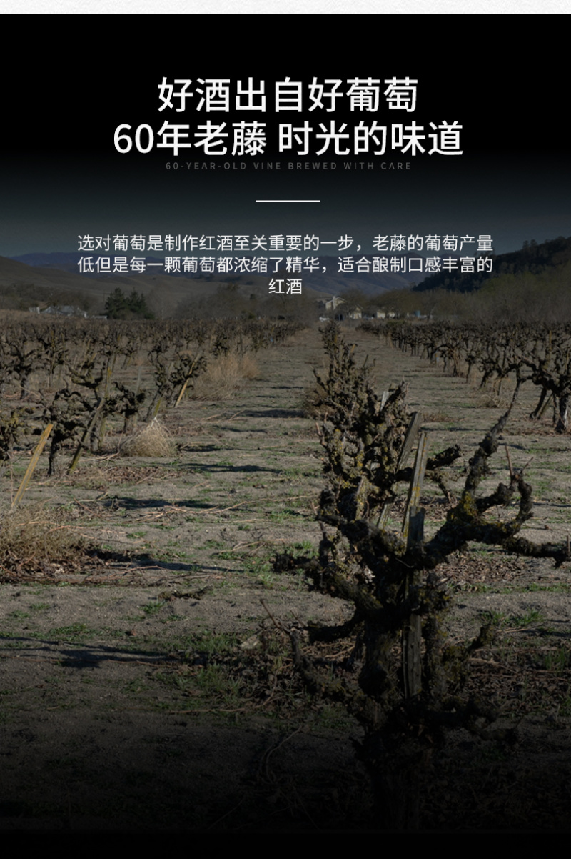 拉菲尔城堡17年14度750毫升重型瓶一手货源批发