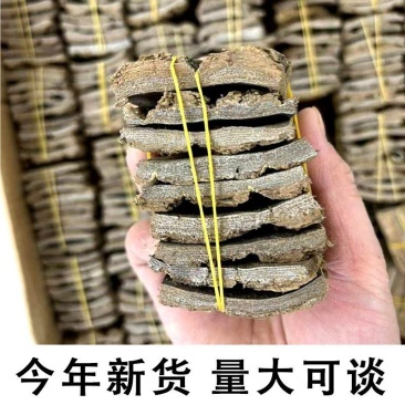 【量大优惠】云南杜仲品质保障对接全国批发欢迎来电咨询