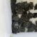 珍珠憋苗