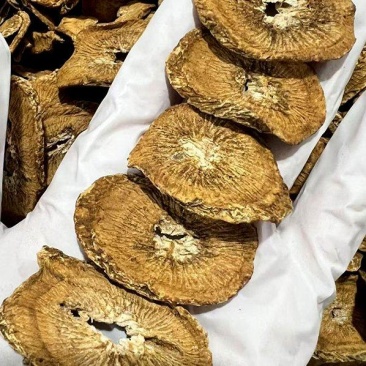【量大优惠】云南无硫牛蒡根品质保障对接全国批发