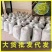 【量大优惠】云南莓茶品质保障对接全国批发电商商超电商
