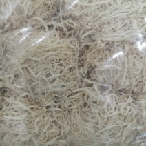 竹茹