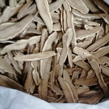 灵芝灵芝片