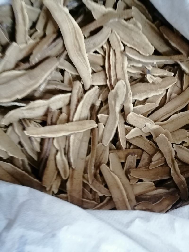 灵芝灵芝片